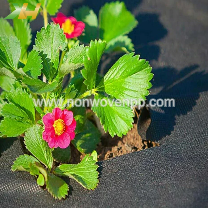 agriculture non woven